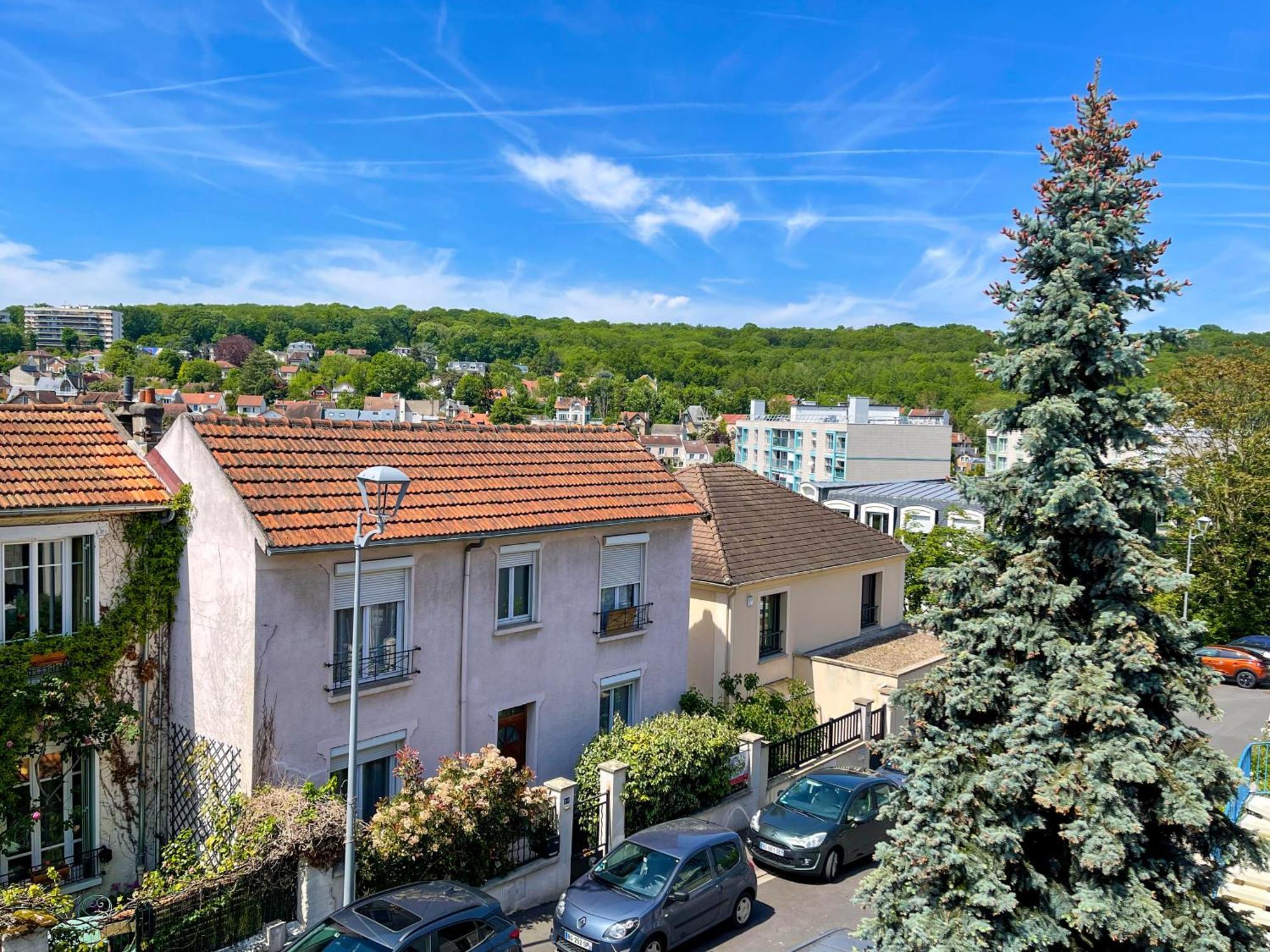 En Duplex Entre Paris Et Versailles * Chaville